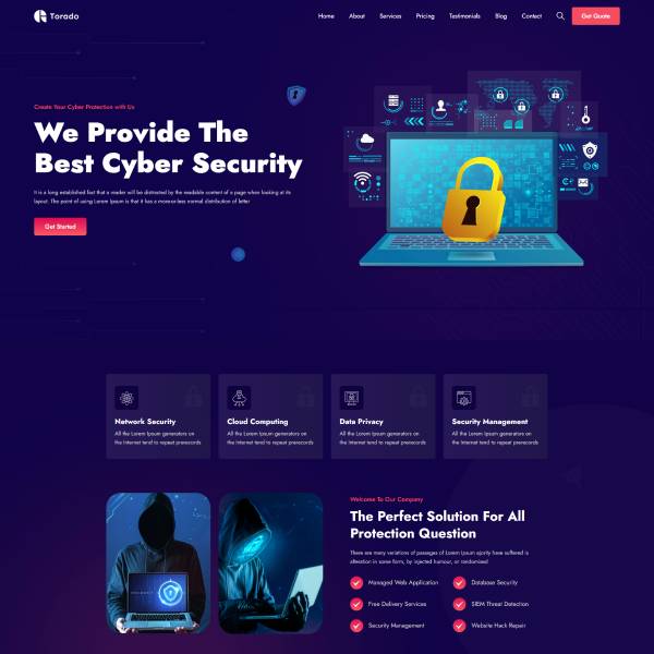cyber-security-company
